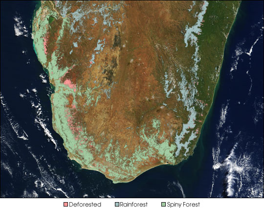 Deforestation in Madagascar