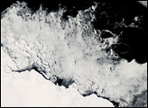 Antarctic Sea Ice