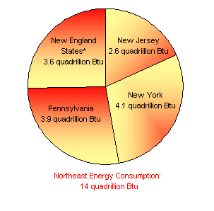 northeast_pie1a.gif (13653 bytes)