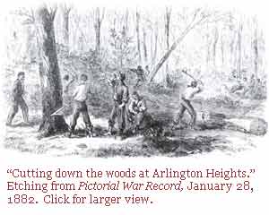 Cutting timber in Arlington Forest