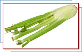 Photo of fennel