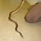 Sneaky snake