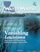 Cover:  Saltwater marsh