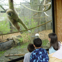 Children enjoy an exhibit thanks to the Opening the Gates program, which makes signage available in five languages.