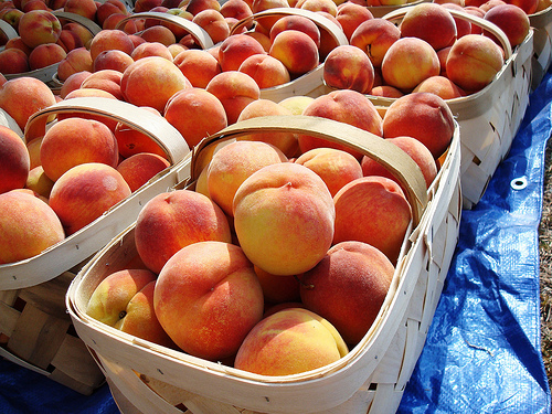 Peaches, Peaches and more Peaches