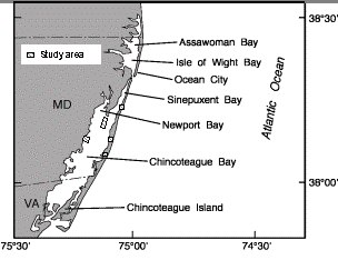 Map of Chincoteague Bay on North Carolina's coast.