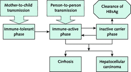 Figure. Natural history of chronic HBV infection. A text description follows this image.