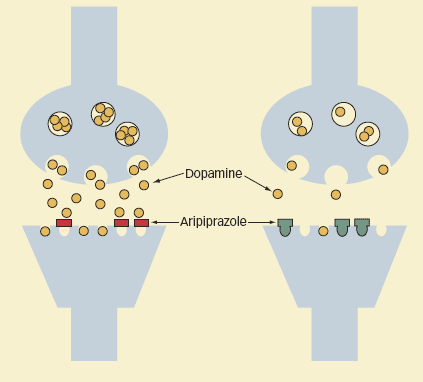 Graphic of aripiprazole blocking dopamine receptors in brain regions.