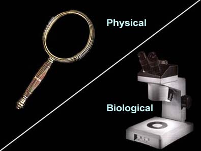 Physical and Biological Evidence