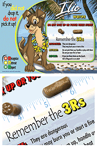 Ilio Safety Education Hawaii Propellant Poster