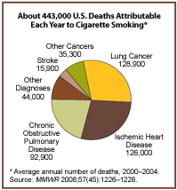 Pie chart showing annual deaths attributable to cigarette smoking