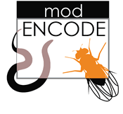 modENCODE logo