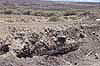 USAEC Photo