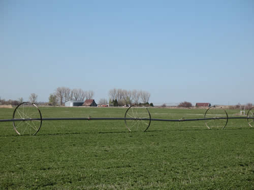 Idaho dry farm field with sprinkler pipes.