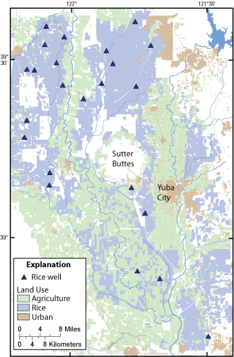 Map showing wells sampled in rice areas in cycle 2