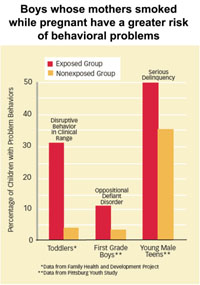 Boys whose mothers smoked while pregnant have a greater risk of behavioral problems graph