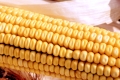 corn