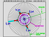 17data_labeled