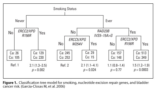 Figure 1. Classification tree model for smoking, nucleotide excision repair genes, and bladder cancer risk.