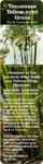 Tenn-Yellow-eye-gras