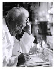 [Albert Szent-Gyorgyi working at his lab bench, Woods Hole, Massachusetts]. 30 August 1965.