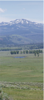 Yellowstone National Park image showing sagebrush lowlands with mountains in the background.