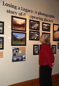 Museum visitor enjoys Loosing a Legacy exhibit.