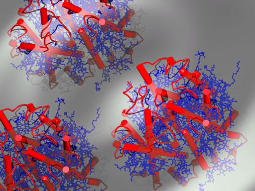 Artistic rendering of a light-harvesting compound (LHC) in a polymer membrane. Neutron research with LHCs is leading to more efficient use of solar energy.