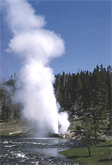 National Park Service photo from Yellowstone National Park.