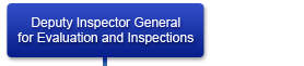 Deputy Inspector General for Evaluation and Inspection