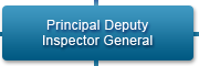 Principal Deputy Inspector General