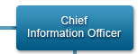 Chief Information Officer