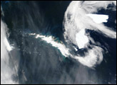 Icebergs near South Georgia Island