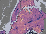 New York City Temperature and Vegetation