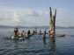 Photo of a partially submerged tree surrounded by boys who are fishing.