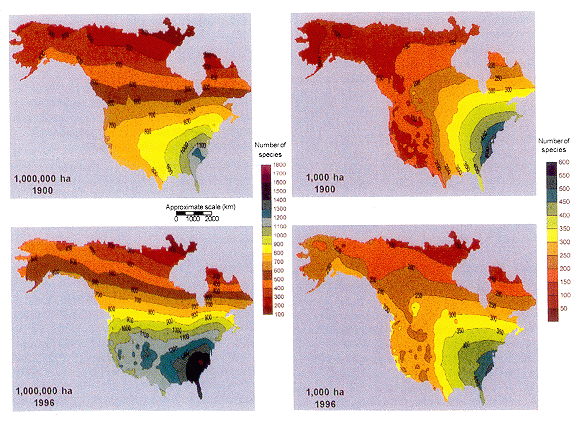 Figure 4-3 Maps of estimated size of the flora for areas of 1,000 and 1,000,000 ha in 1900 and 1996