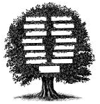 geno tree