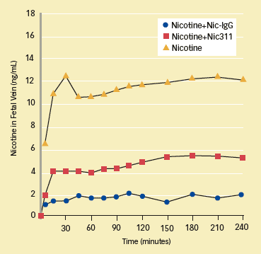 RESULTS OF MEASURING THE CONCENTRATION OF
NICOTINE IN THE FETAL VEIN