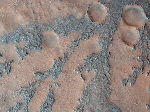 In this image from the High Resolution Imaging Science Experiment (HiRISE) camera on NASA's Mars Reconnaissance Orbiter, the dark branched features in the floor of Antoniadi Crater look like giant ferns, or fern casts. However, these ferns would be several miles in size and are composed of rough rocky materials.