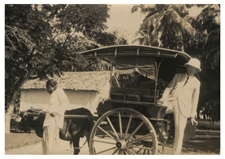 [Wilbur A. Sawyer alighting from a bullock cart, Weligama Rest House, Ceylon]. 3 March 1924.