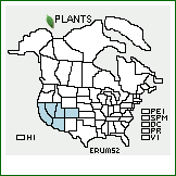 Distribution of Eriogonum umbellatum Torr. var. subaridum S. Stokes. . 