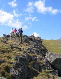 field research in upper alaska at toolike Lake