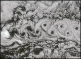 A Vortex Street in the Arctic