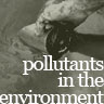 Pollutants in the Environment