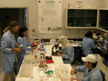 Científicos estudiando la Mosca Drosófila en el laboratorio en NASA Ames Research Center.