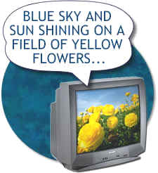 Monitor with audio description that describes the image on screen: "Blue sky and sun shining on a field of yellow flowers ..."