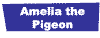 Amelia the Pigeon