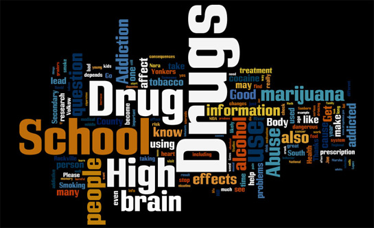 A word cloud madeup of words from the 2008 NIDA Chat Day transcript