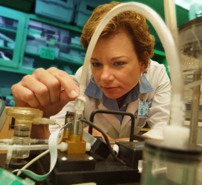Researcher Dr. Beth NeSmith in the midst of an experiment in the laboratory.