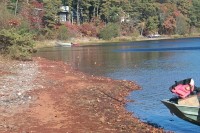 Shortly following the installation of a permeable reactive barrier, the sediment along the shoreline of Ashumet Pond, Cape Cod, MA, turned red, indicating the oxidation of the iron filings in the barrier. The barrier was constructed to remediate a phosphate plume discharging to the pond